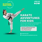 Kids Martial Arts in Orchid Hills Penrith area for all levels