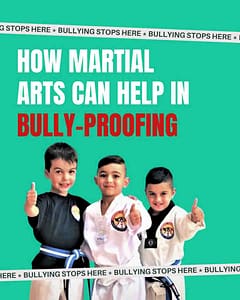 Kids Kung Fu in South Penrith for kids & teens of all ages & all levels