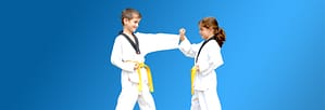 Bully Busting-Pinnacle Martial Arts in Caddens Penrith area