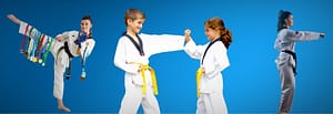 Pinnacle Taekwondo Martial Arts karate self defence in caddens penrith area in western sydney