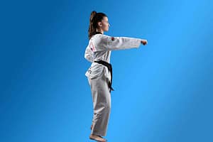 What is Pinnacle Martial Arts in Sydney?