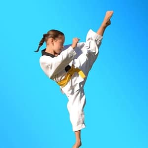 Pinnacle Martial Arts Marrickville , our Martial Arts Styles include Taekwondo, Karate, Kung Fu, Martial Arts Self Defence and Martial Arts Fitness