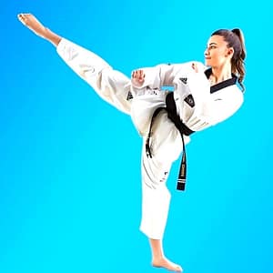Taekwondo in Cambridge Park