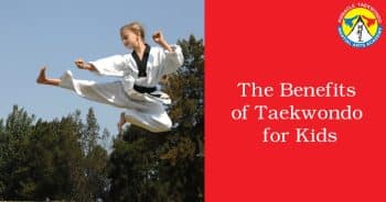 Pinnacle Kung Fu influenced Martial Arts in Marrickville and Chester Hill Sydney Kung Fu in Marrickville and Chester Hill Sydney