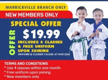 Martial Arts in Marrickville for kids, teens and adults. Pinnacle Martial Arts in Marrickville is a combination of Taekwondo, Martial Arts Self Defence, Kung Fu, Kickboxing and Karate. Martial Arts in Marrickville for kids, teens and adults