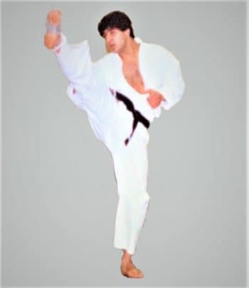 Pinnacle Martial arts In Marrickville for Kids Teens and adults Pinnacle Martial Arts in Marrickville